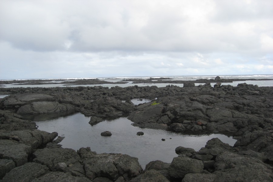 ../image/kapoho tide pools 4.jpg